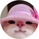 Débora Batista Malaquias profile picture